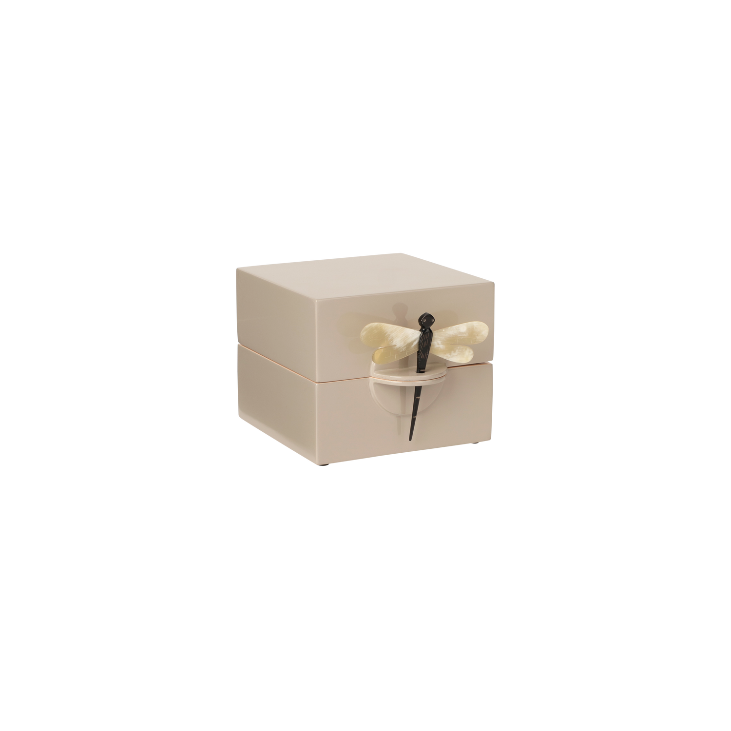 Lacquer Box "Dragonfly" in Cashmere - Small