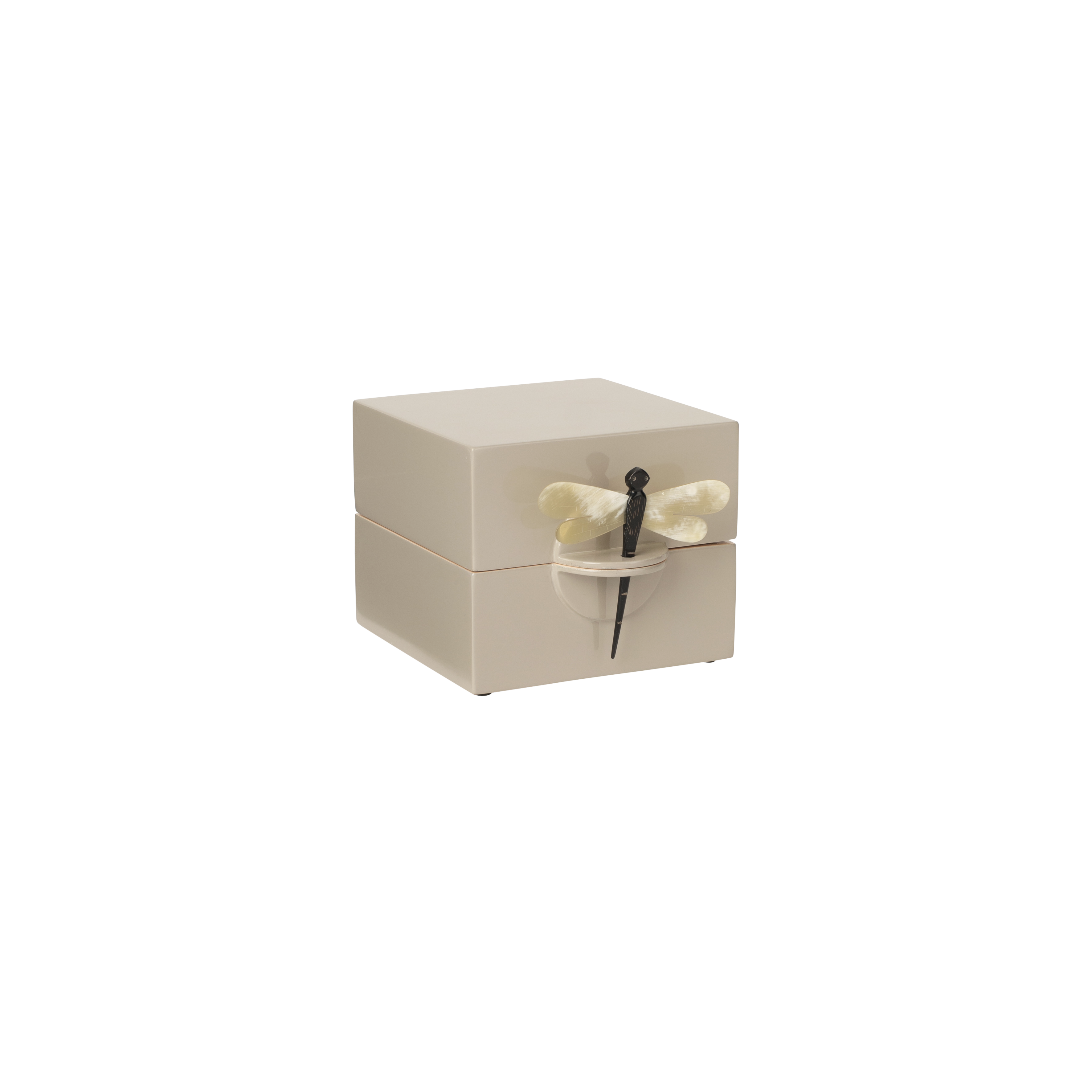 Lacquer Box "Dragonfly" in Cashmere - Small